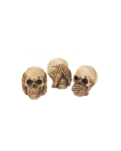 NO EVIL SKULLS